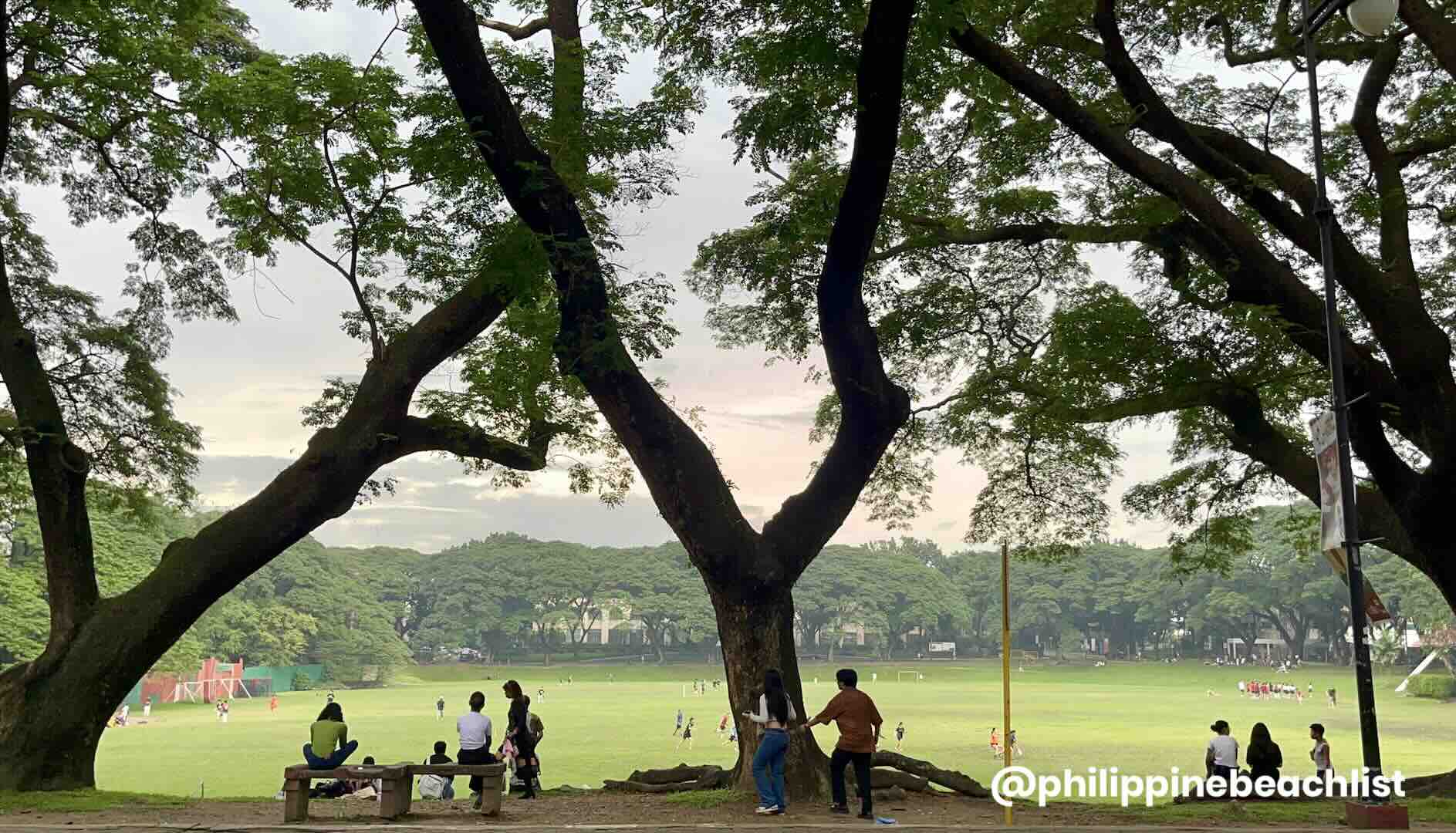 UP Sunken Garden